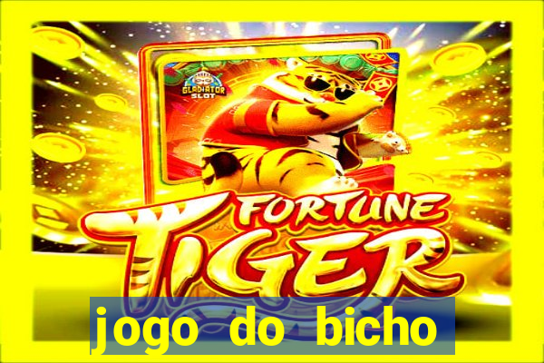 jogo do bicho documentario globoplay